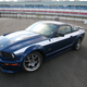 Illustration for article titled 2010 Shelby Mustang GT/SR